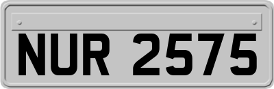 NUR2575