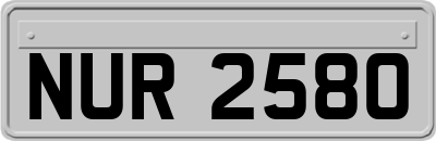 NUR2580