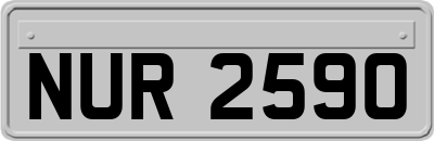 NUR2590