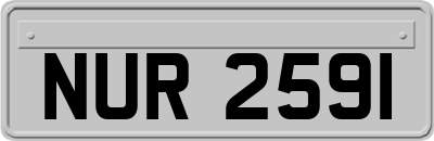 NUR2591