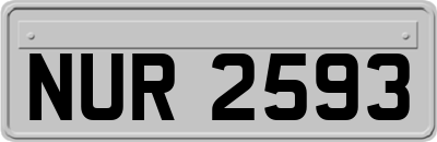 NUR2593