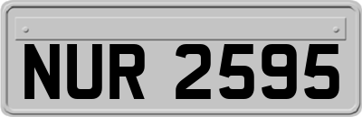 NUR2595
