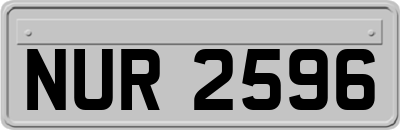 NUR2596