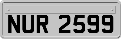 NUR2599
