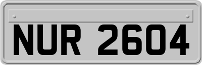 NUR2604