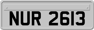 NUR2613