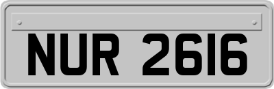 NUR2616