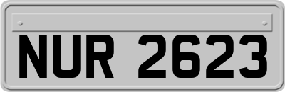 NUR2623