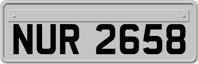 NUR2658
