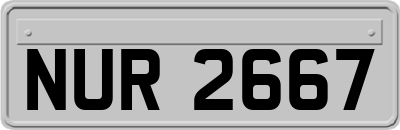 NUR2667