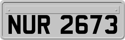 NUR2673