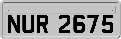 NUR2675