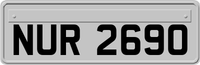 NUR2690