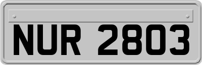NUR2803