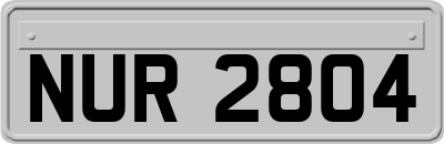 NUR2804