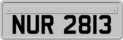 NUR2813