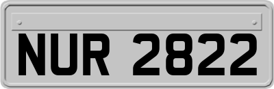 NUR2822