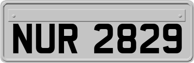 NUR2829