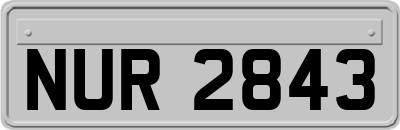 NUR2843
