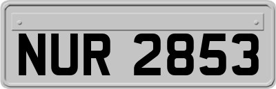 NUR2853