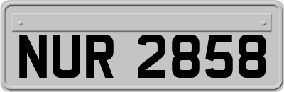 NUR2858