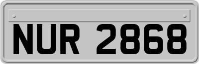 NUR2868
