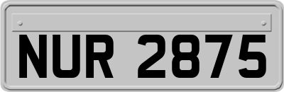 NUR2875