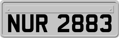 NUR2883
