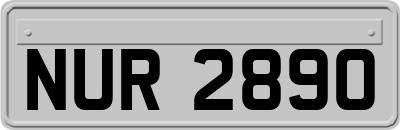 NUR2890