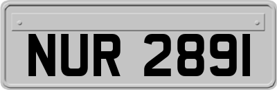 NUR2891