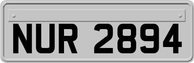 NUR2894