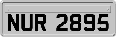 NUR2895