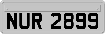 NUR2899