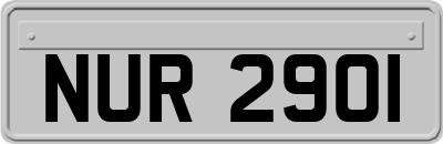 NUR2901
