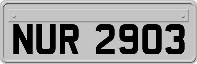 NUR2903