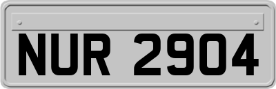 NUR2904