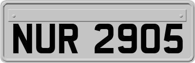NUR2905