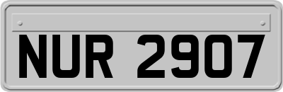 NUR2907