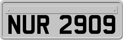 NUR2909