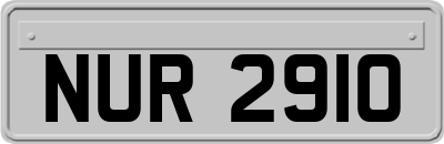 NUR2910