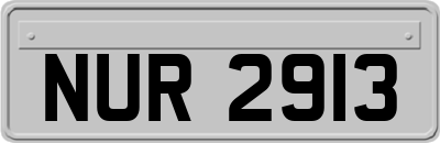 NUR2913