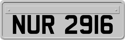 NUR2916