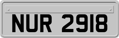NUR2918
