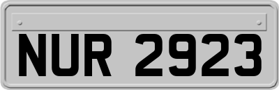 NUR2923