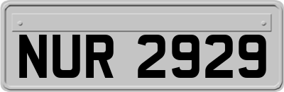 NUR2929