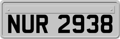 NUR2938