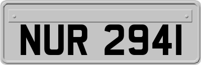 NUR2941