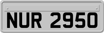 NUR2950