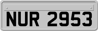 NUR2953