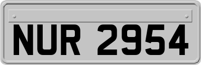 NUR2954